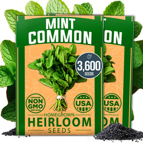 HOME GROWN mint seeds bulk pack ready for indoor herb gardening.