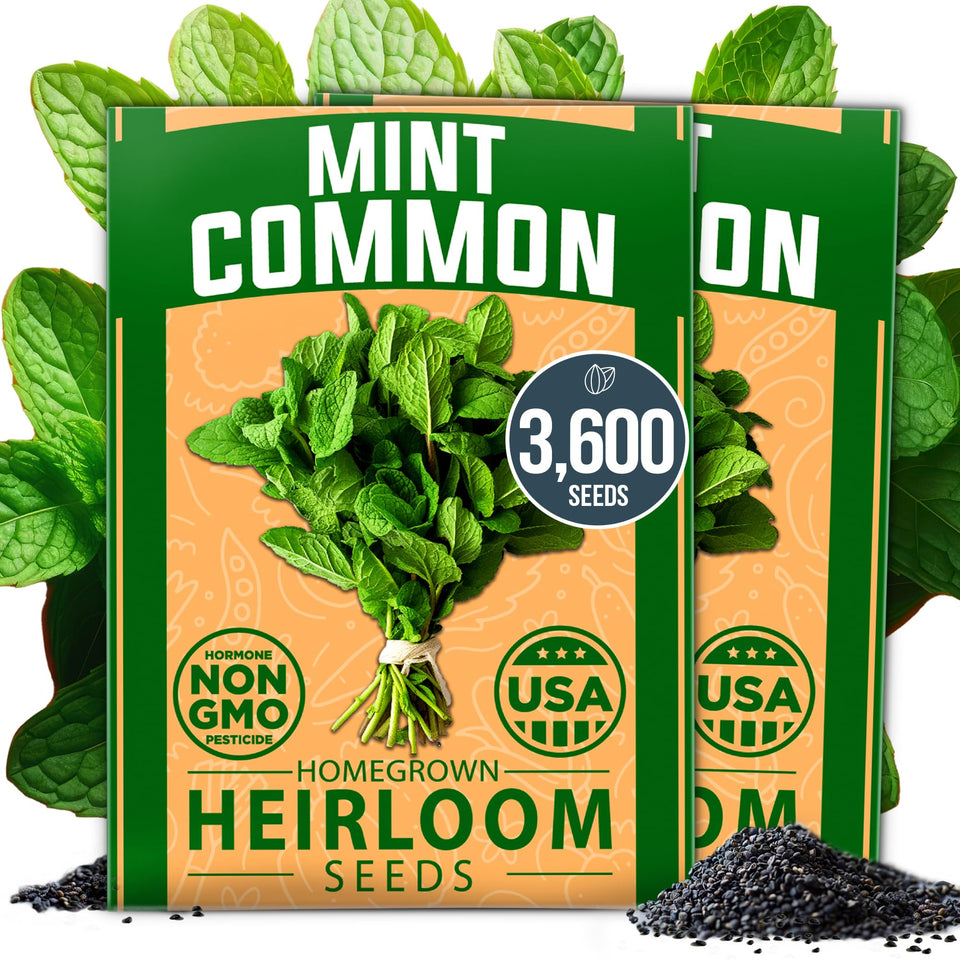 HOME GROWN mint seeds bulk pack ready for indoor herb gardening.