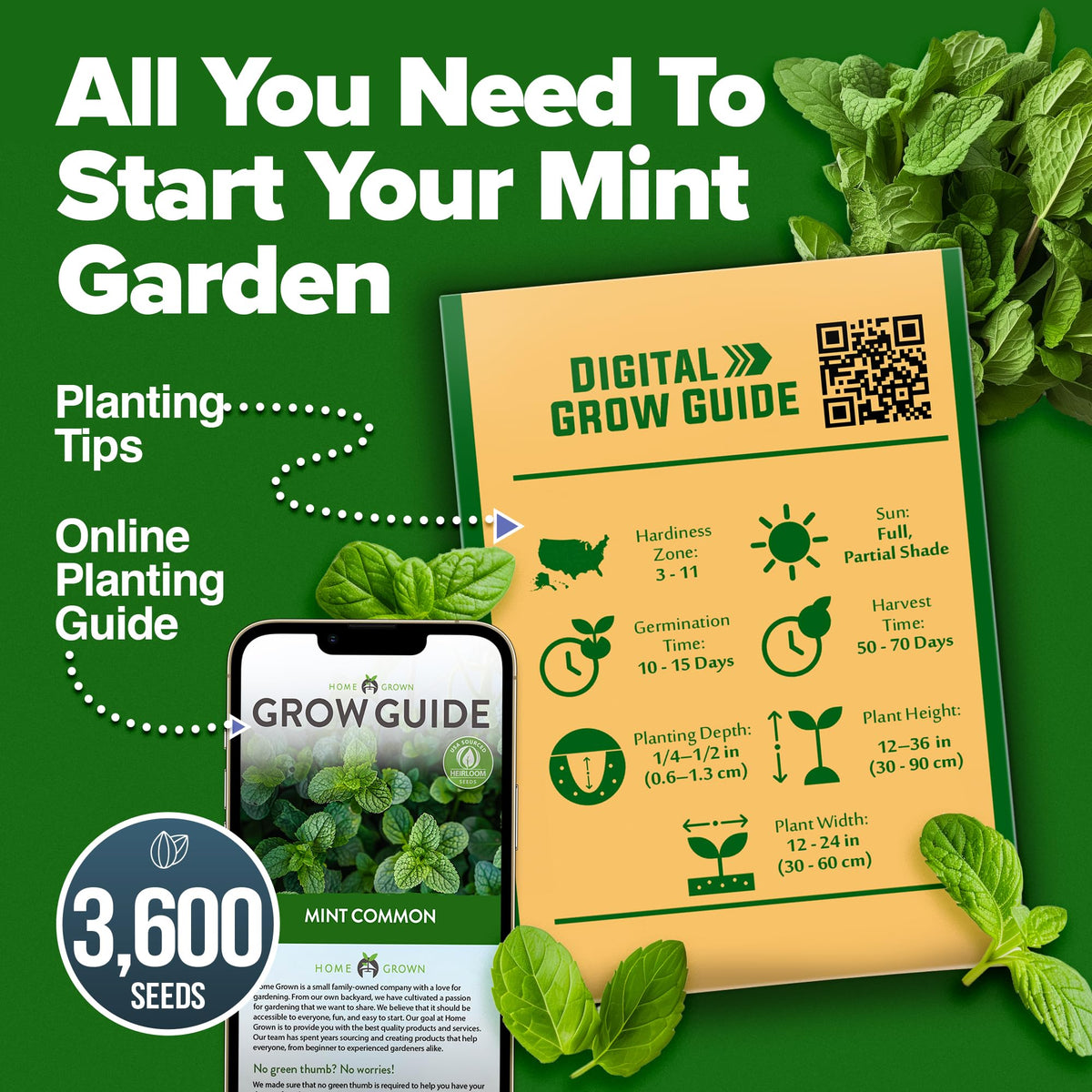 HOME GROWN mint seeds shown beside kitchen herbs for easy culinary use.