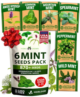HOME GROWN mint seeds variety pack cover image showing 6 heirloom varieties for home gardens.