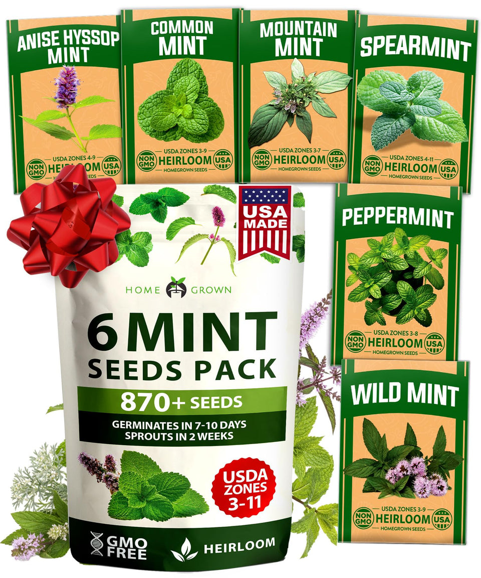 HOME GROWN mint seeds variety pack cover image showing 6 heirloom varieties for home gardens.