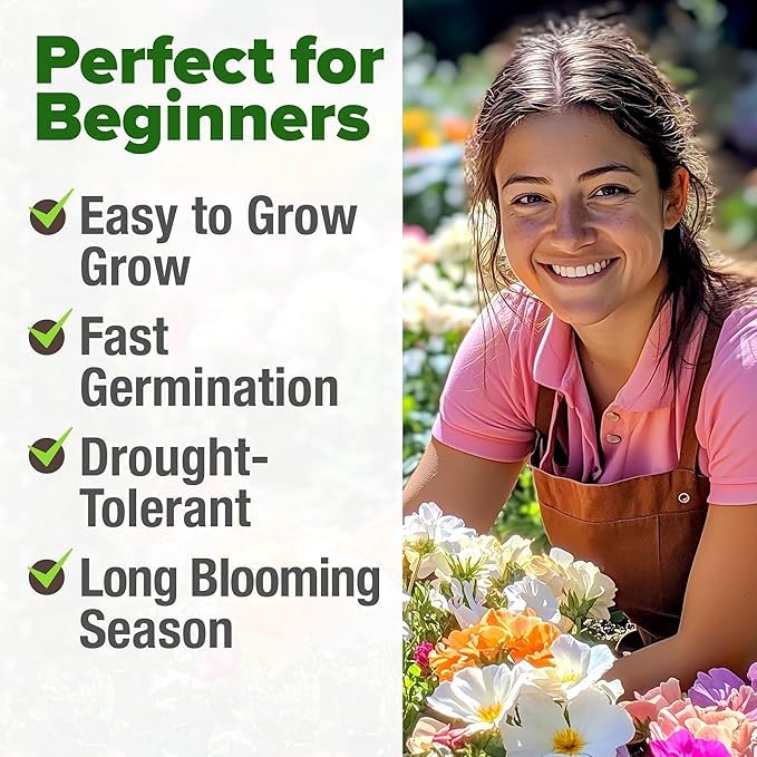 HOME GROWN Moss Rose seeds fast germination supports quick seasonal color.