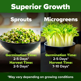 HOME GROWN mung bean seeds pack harvest ready microgreens in days
