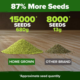 HOME GROWN mung bean seeds pack soaking seeds for soil-free sprouts