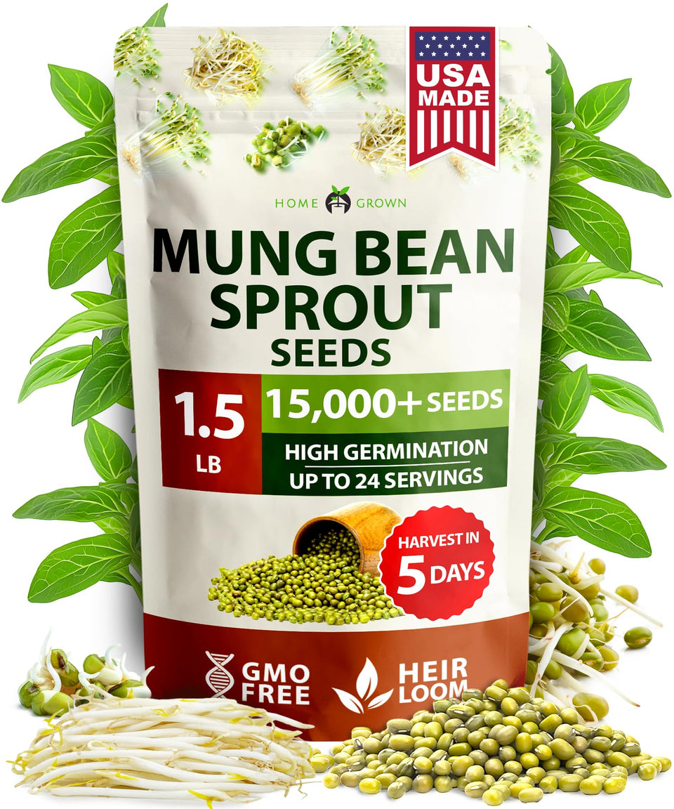 HOME GROWN mung bean seeds pack sprouts ready for crisp salads
