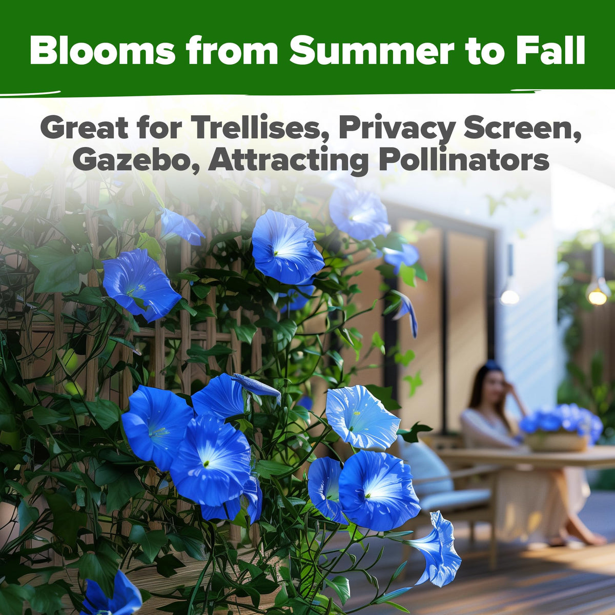 HOME GROWN Non-GMO heirloom seeds for safe, colorful garden displays.