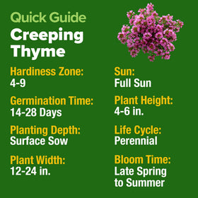 HOME GROWN non-GMO thyme seeds support eco-friendly lawn projects