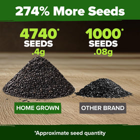 HOME GROWN peppermint seeds 2-pack back, includes germination tips for successful planting.