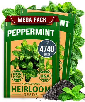 HOME GROWN peppermint seeds 2-pack front view, ideal for indoor or outdoor herb gardens.
