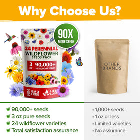 HOME GROWN perennial seed pack includes beginner-friendly growing guidance.