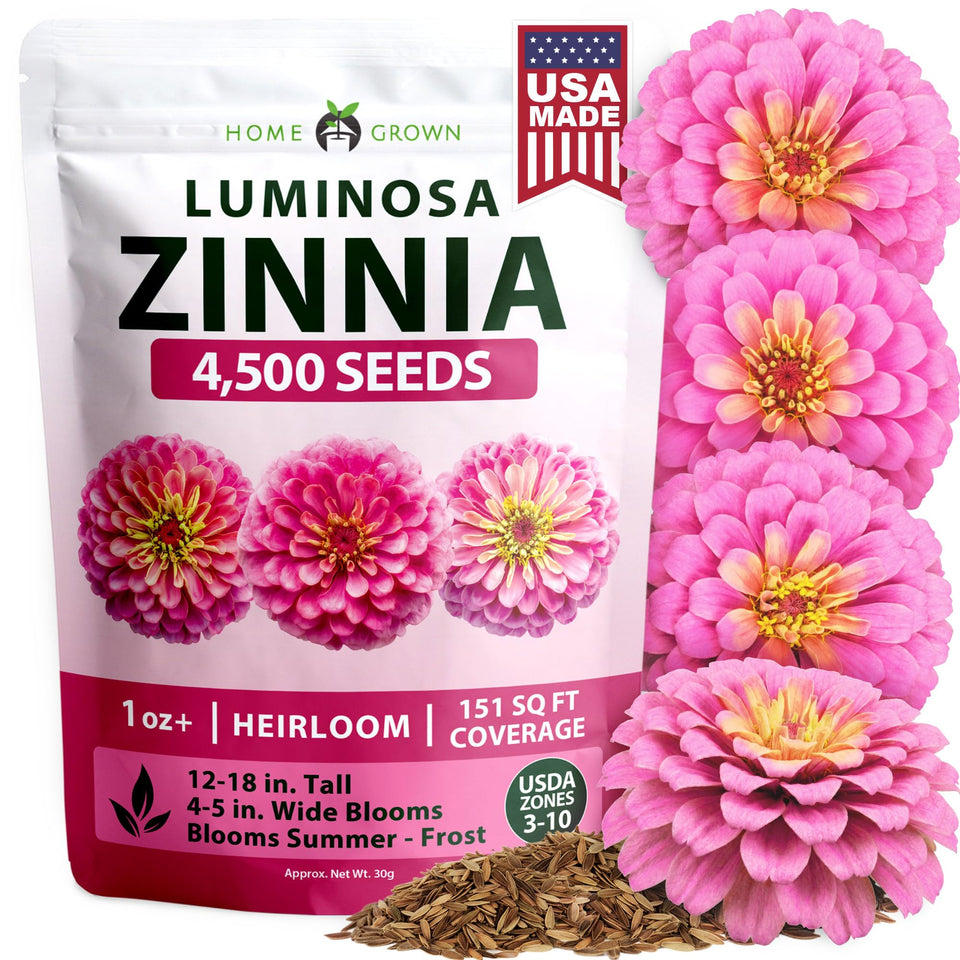 HOME GROWN Pink Zinnia Seeds close-up of Luminosa bloom for vibrant bed color
