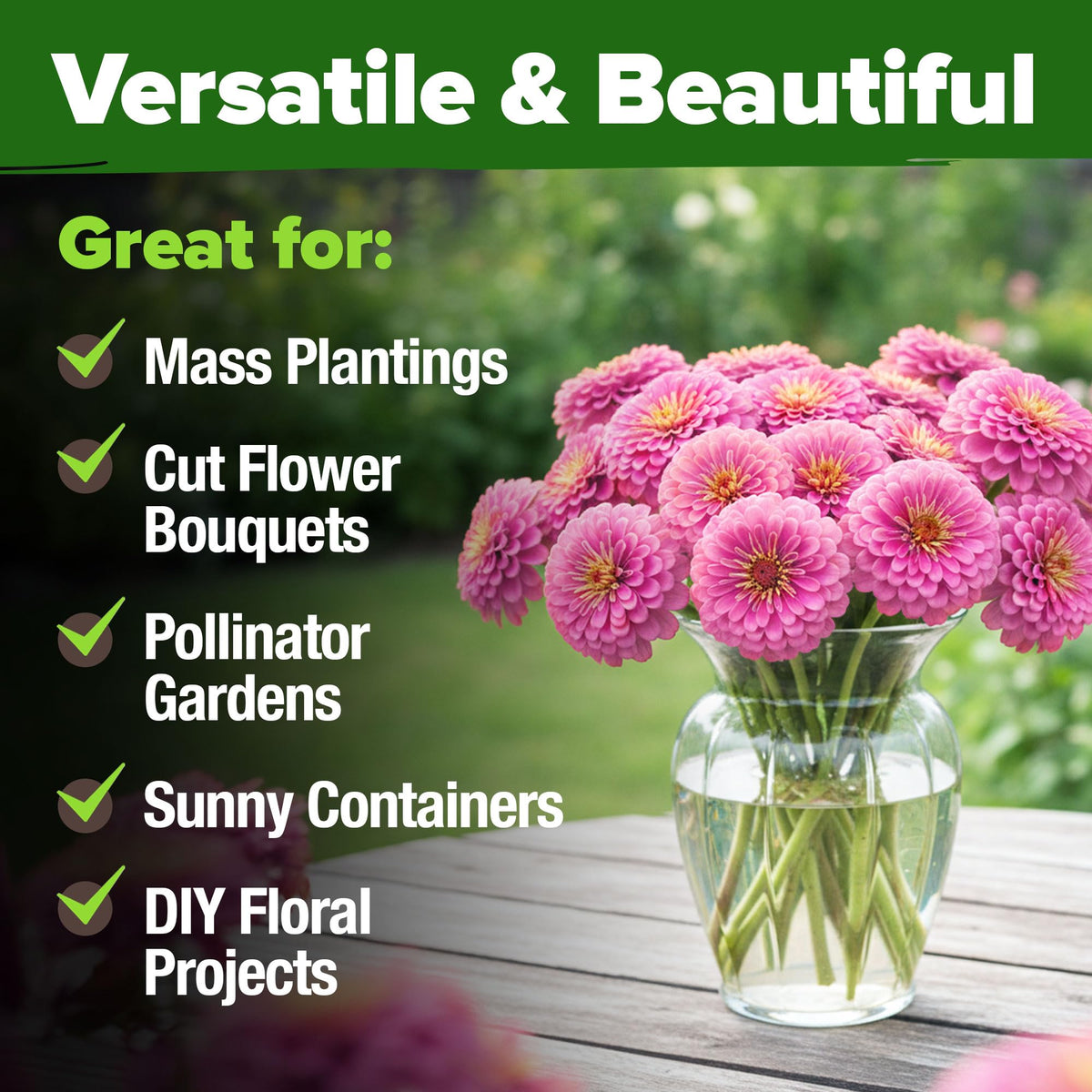 HOME GROWN Pink Zinnia Seeds attract bees and butterflies, boosting pollinator-friendly spaces.