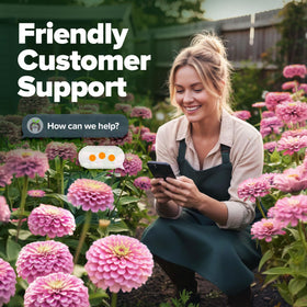 HOME GROWN Pink Zinnia Seeds suit raised beds and containers for neat, vibrant plots.