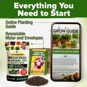 HOME GROWN pollinator-friendly herbs attract bees and butterflies in your garden.