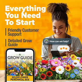 HOME GROWN pollinator-friendly mix attracts birds, bees, and hummingbirds.