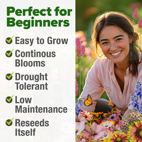 HOME GROWN Pollinator garden idea in sunny bed