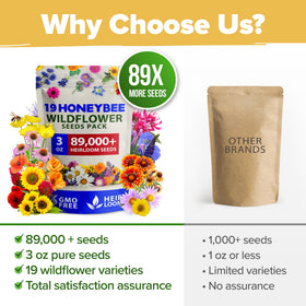 HOME GROWN pollinator seeds attracting bees and butterflies in a garden