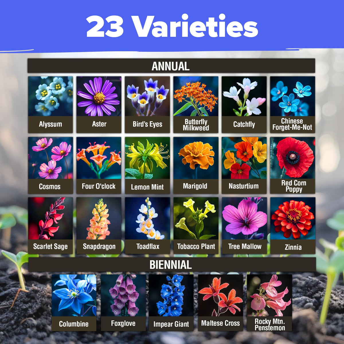 HOME GROWN Wildflower Seeds Bulk planting guide included for beginners.