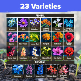 HOME GROWN Wildflower Seeds Bulk planting guide included for beginners.