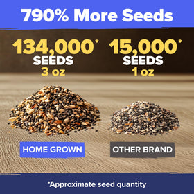 HOME GROWN Wildflower Seeds Bulk pollinator bloom visuals for color planning.