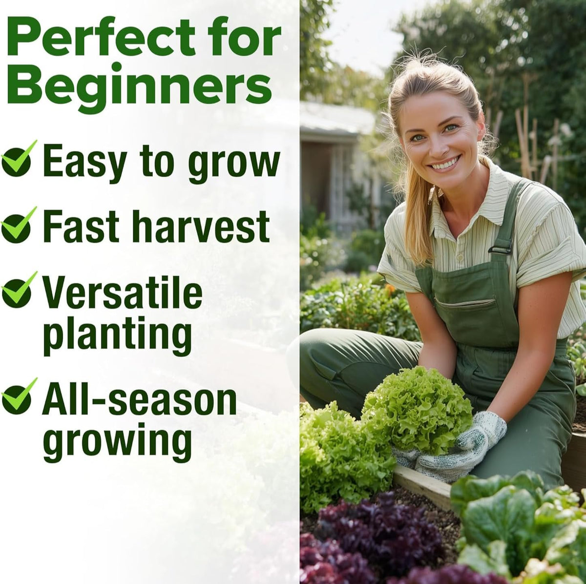 HOME GROWN Prizehead seeds for flavorful heads in home plots.