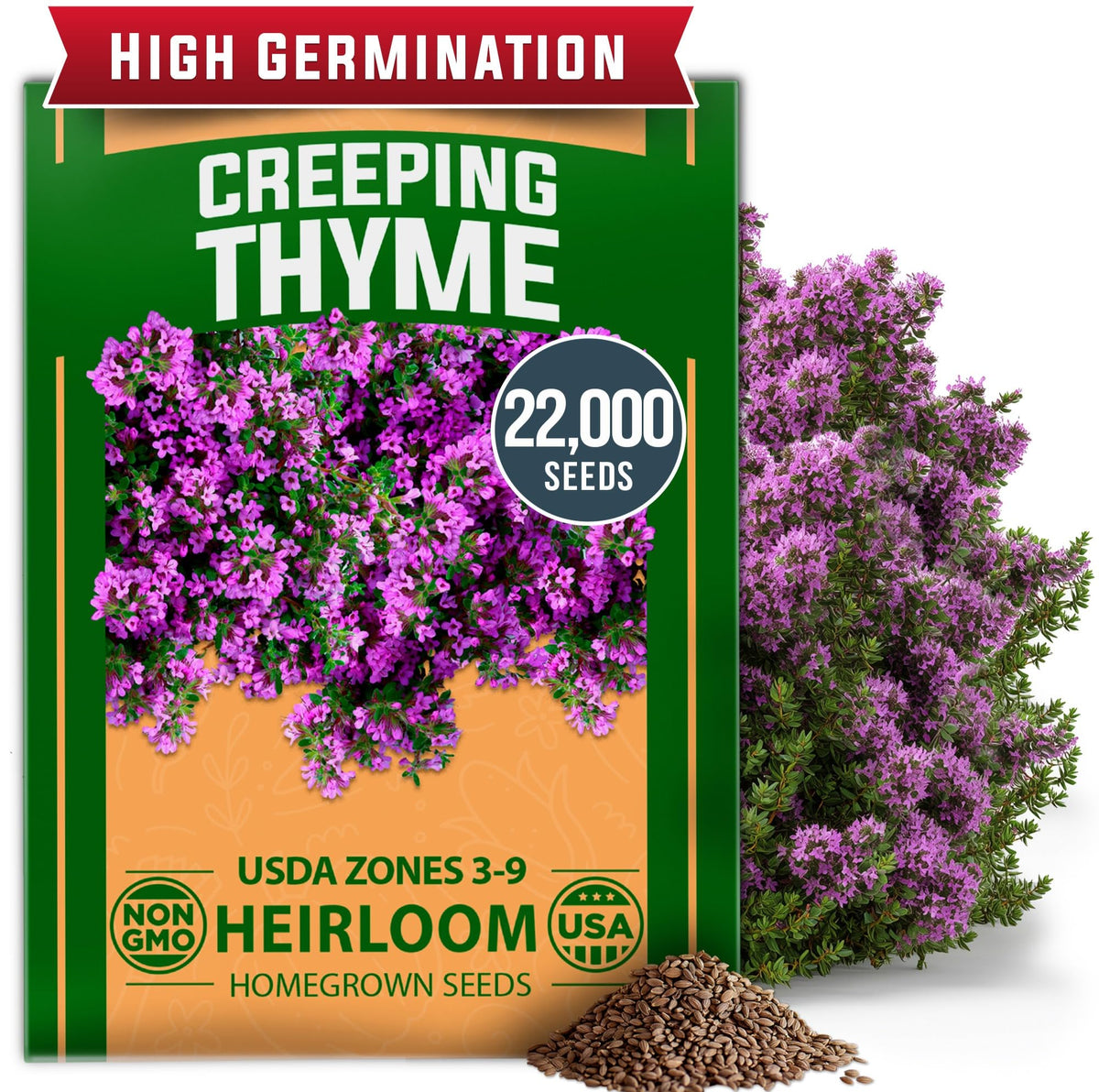 HOME GROWN purple creeping thyme seeds form a lush, low-maintenance ground cover