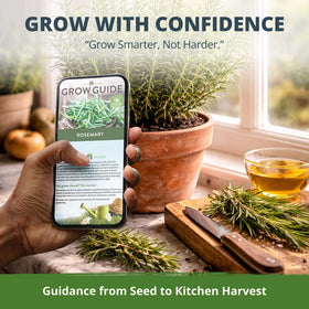 Ideal gift for gardeners with HOME GROWN rosemary seeds pack