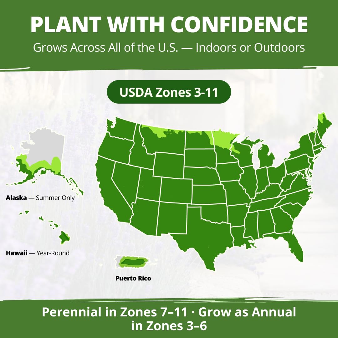 Value-packed 150-seed pack from HOME GROWN for ongoing harvests