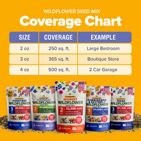 HOME GROWN seed germination guide supports confident start for beginners.