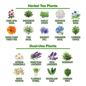 HOME GROWN seed germination instructions provide clear steps for success.