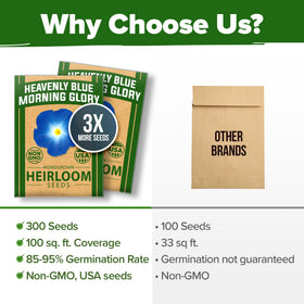 HOME GROWN Seed packs include about 150 seeds for vibrant growth.