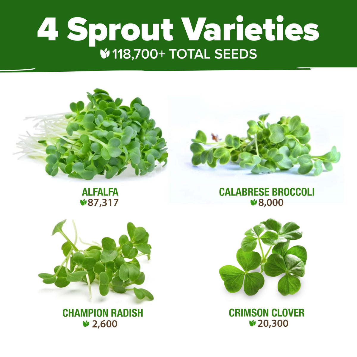 HOME GROWN broccoli sprouts from the mix add crisp flavor to salads