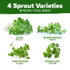 HOME GROWN broccoli sprouts from the mix add crisp flavor to salads