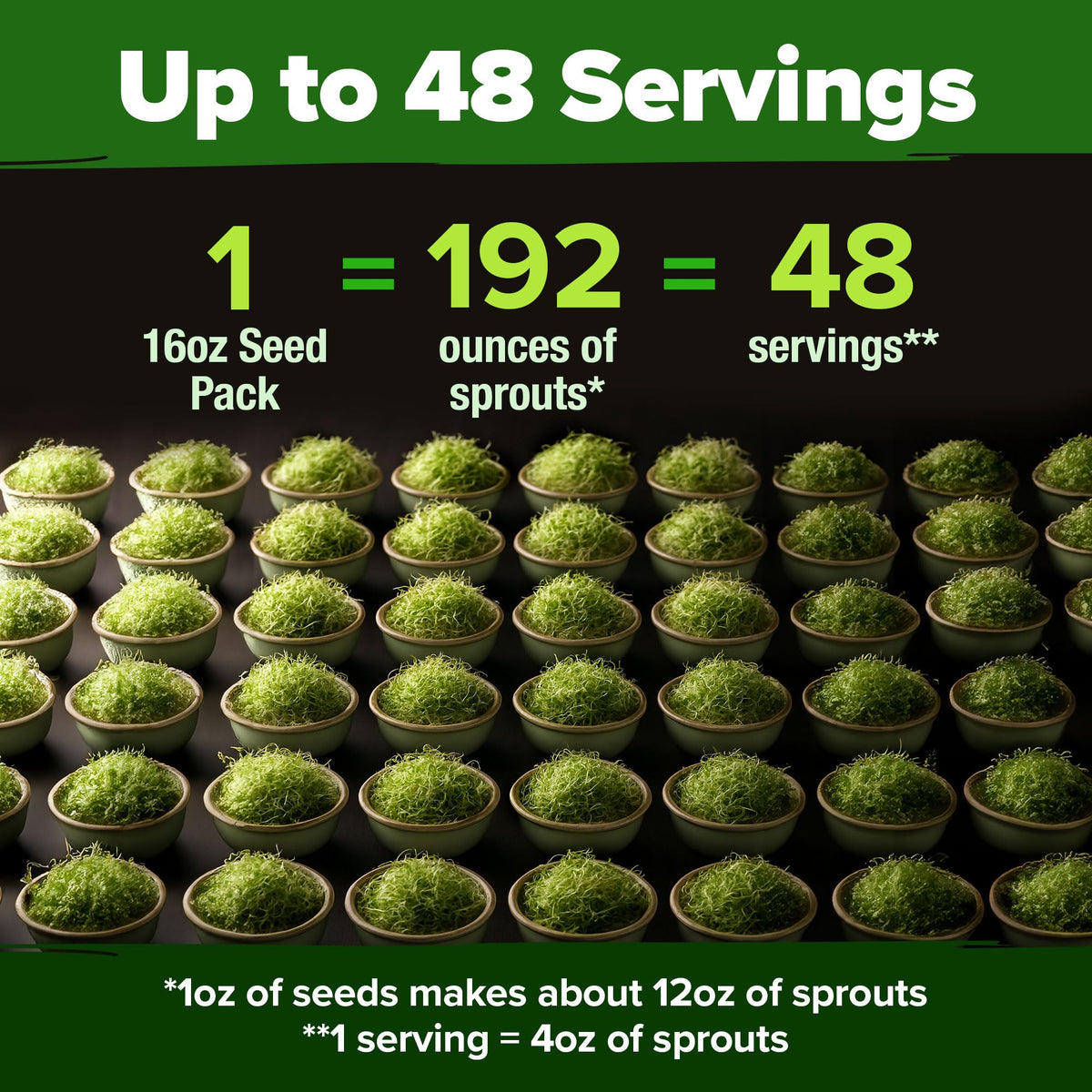HOME GROWN radish sprouts deliver a zing to sandwiches