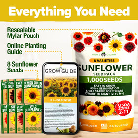 HOME GROWN Sunspot sunflower seeds offer compact plants for small spaces