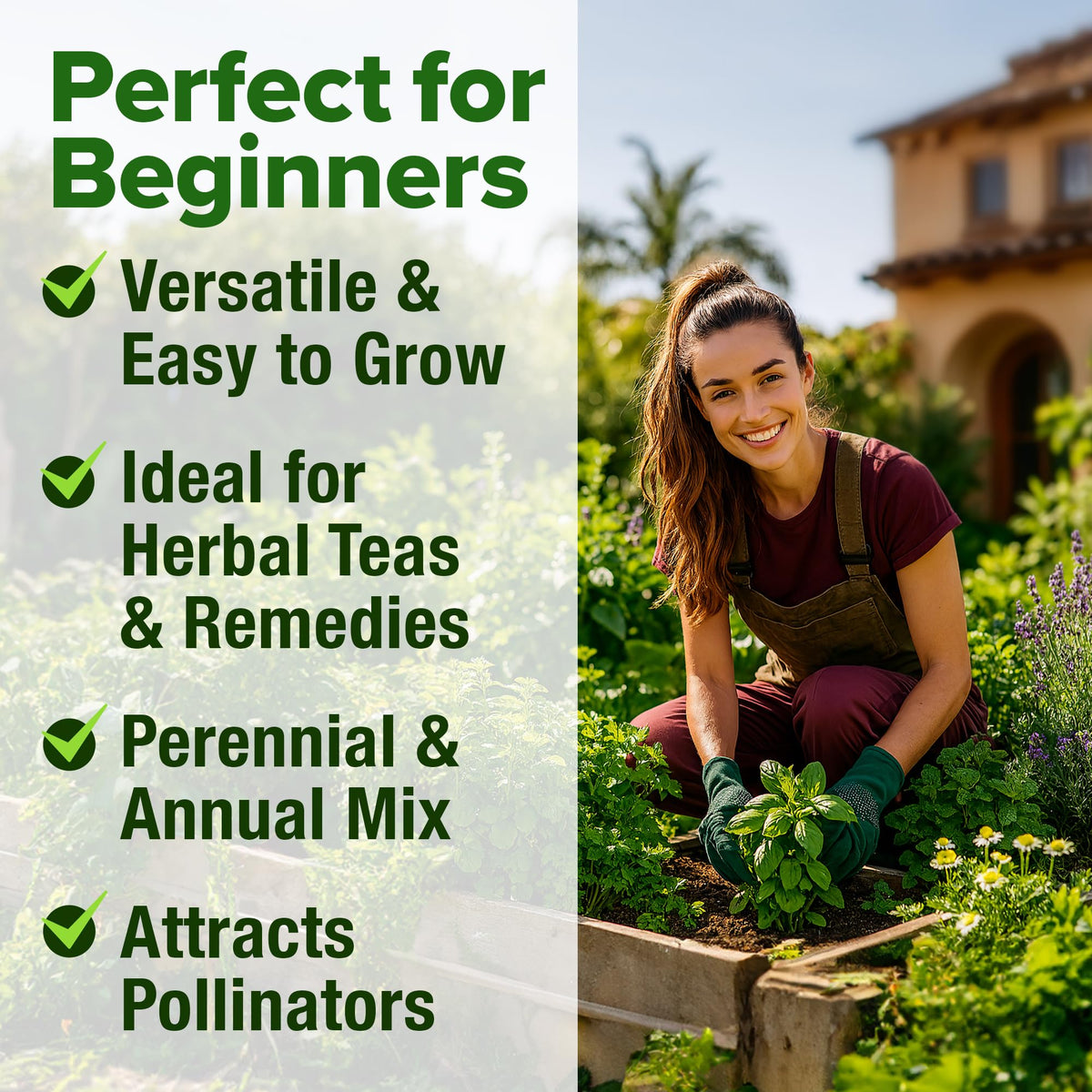 HOME GROWN tea herbs infusion-ready bunches for aromatic blends.