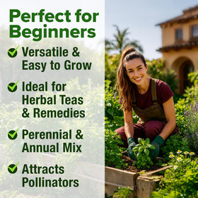 HOME GROWN tea herbs infusion-ready bunches for aromatic blends.