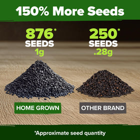 HOME GROWN Thai basil seeds pack closeup seeds, highlighting non-GMO heirloom quality and germination potential