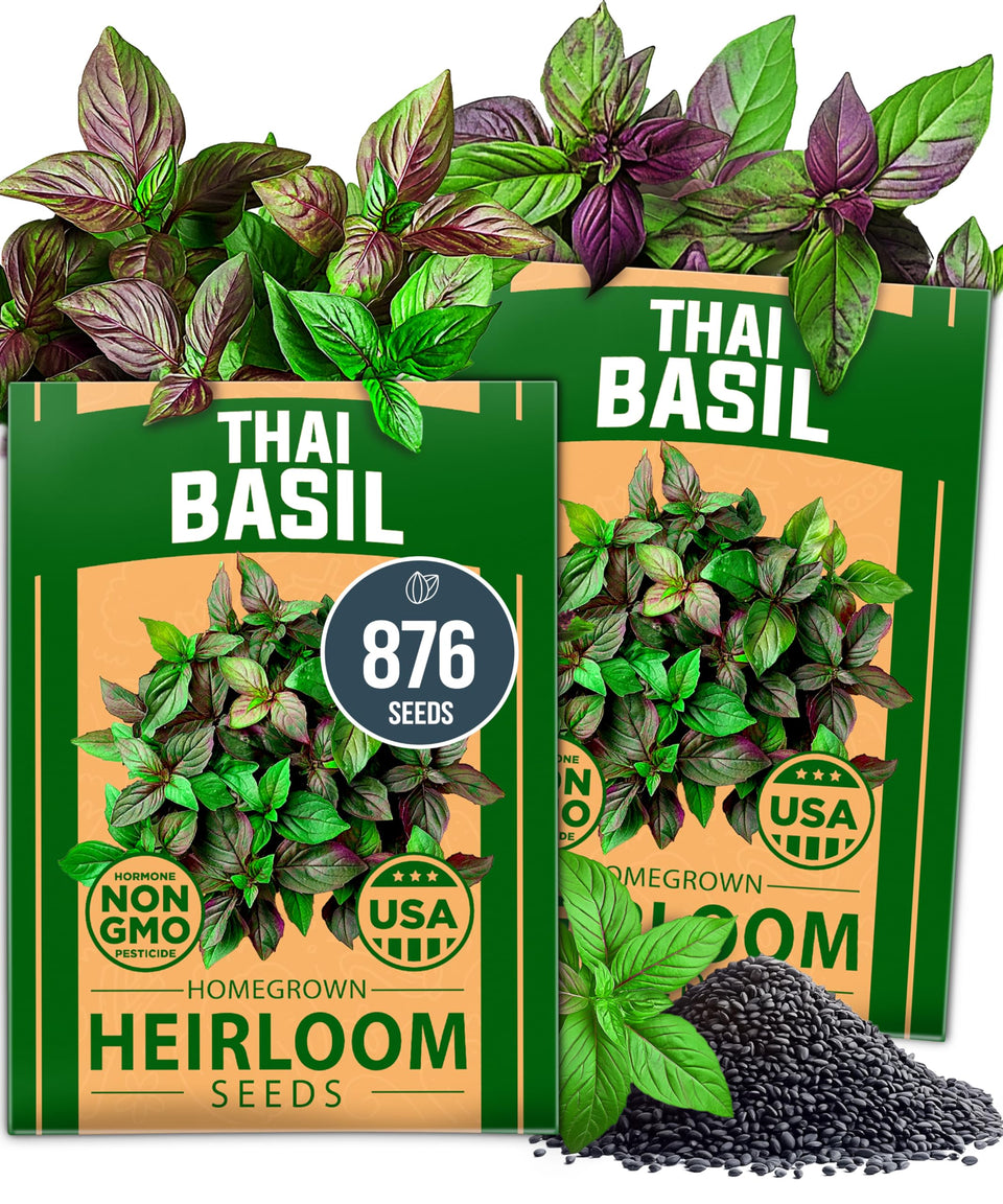 HOME GROWN Thai basil seeds pack front cover, ready for easy indoor herb gardening