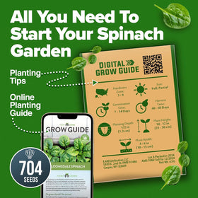 HOME GROWN trusted-brand spinach seeds, packed with care for reliable gardening