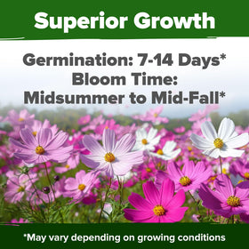 HOME GROWN USA-made heirloom cosmos seeds—premium, non-GMO packaging.