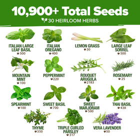 USA-sourced, non-GMO heirloom seeds from HOME GROWN in sealed packs.