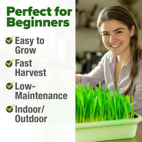 HOME GROWN fast growth cycle from seed to bright green blades.