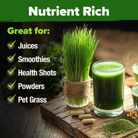 HOME GROWN wheatgrass juice yields smooth, grassy goodness for drinks.