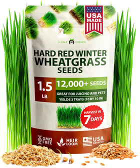 HOME GROWN wheatgrass seeds packaging showing 12,000 premium non-GMO seeds for reliable sprouting.