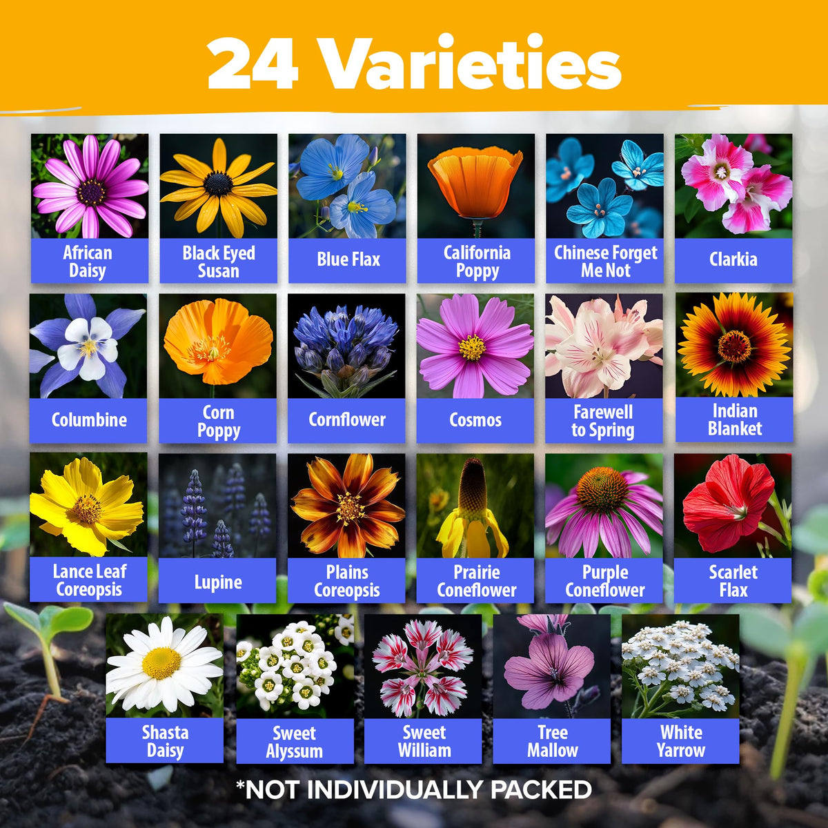Home Grown bee-friendly garden seeds boost color and nectar for insects.