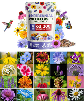 HOME GROWN wildflower seeds bulk 4oz bag for pollinator gardens