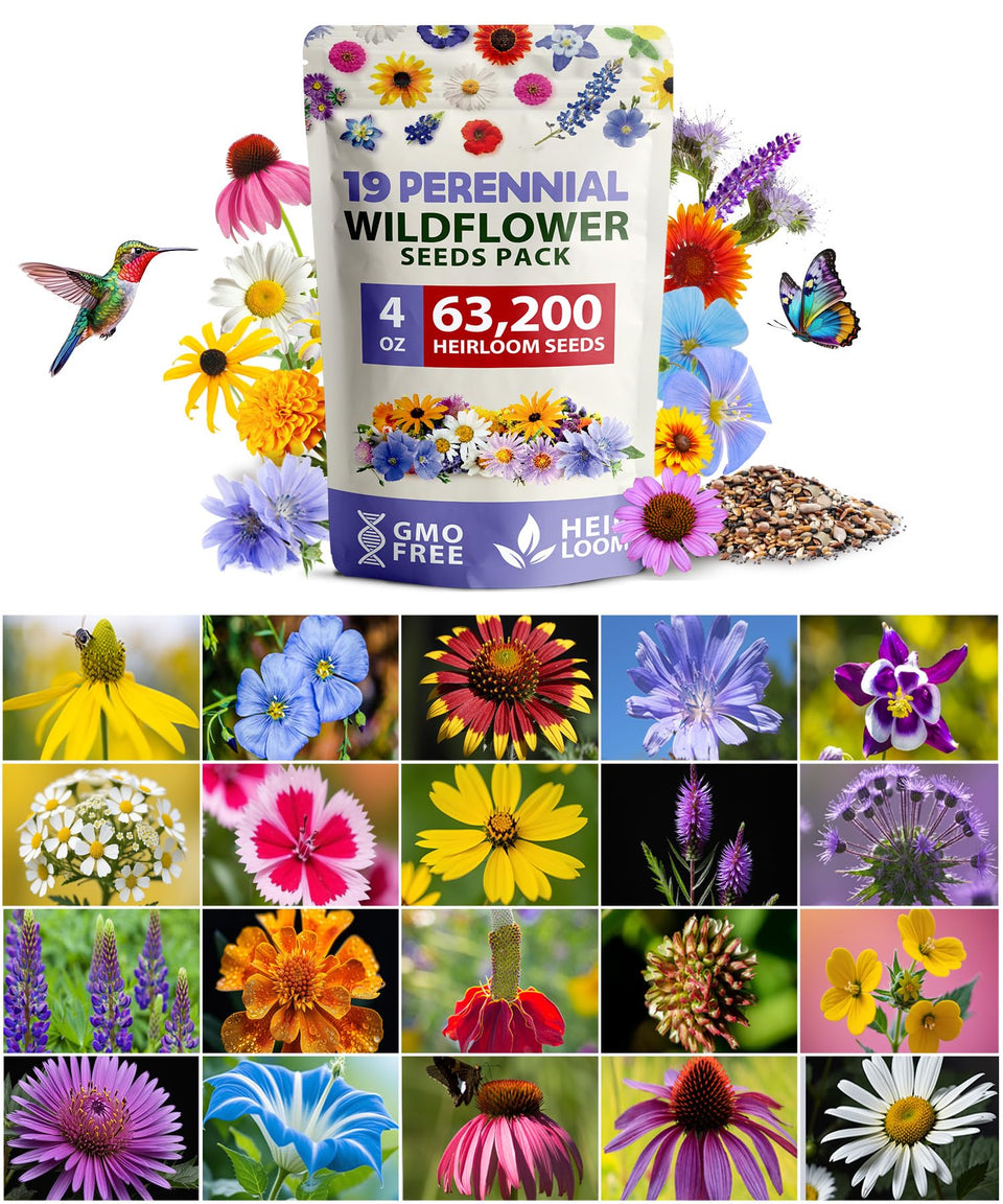 HOME GROWN wildflower seeds bulk 4oz bag for pollinator gardens