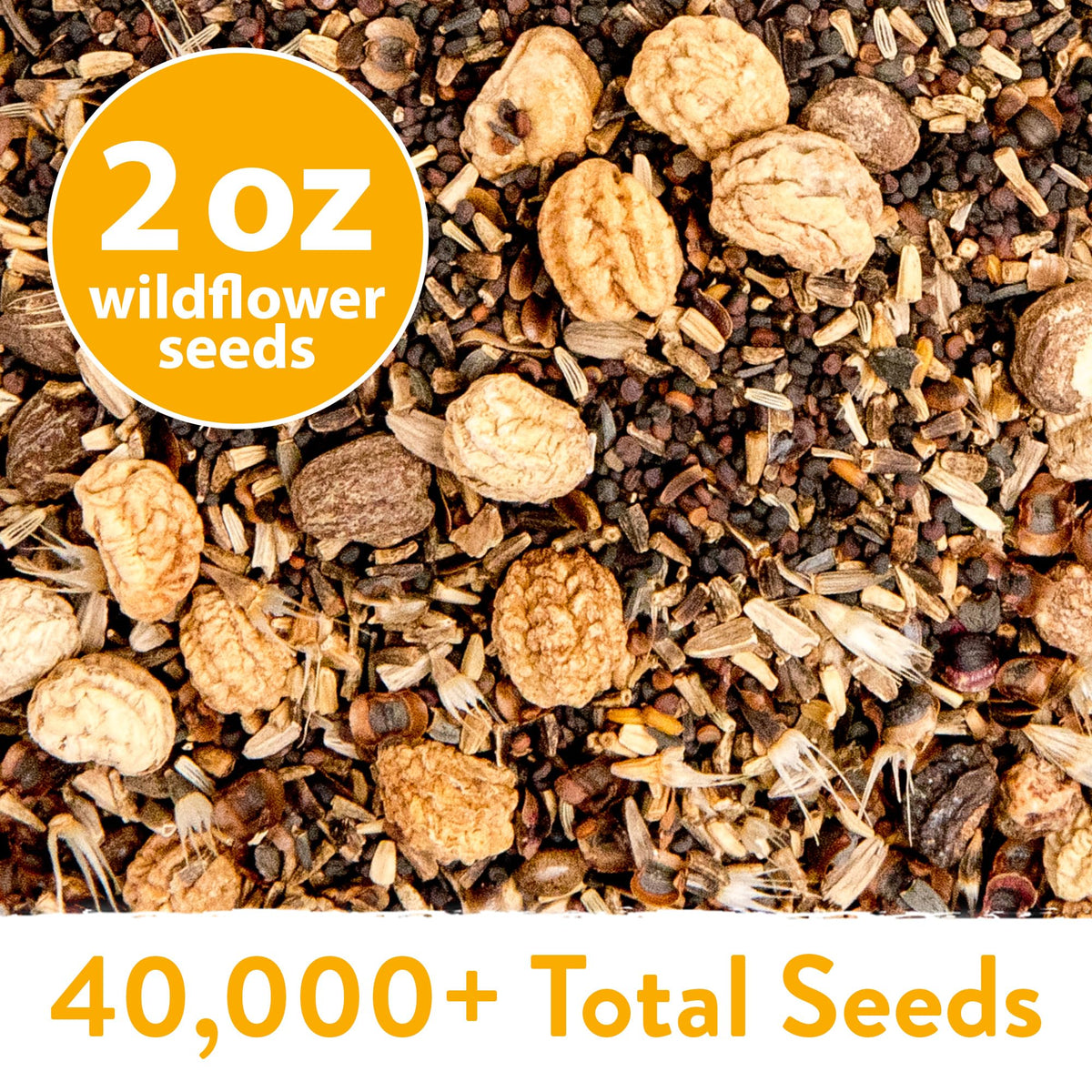 Home Grown drought-tolerant mix supports outdoor gardening in various climates.