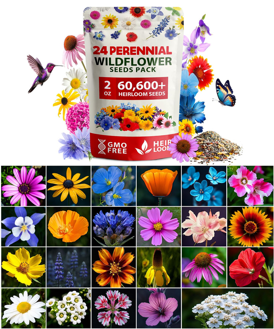 Home Grown meadow mix 2oz seeds blooming to attract pollinators.